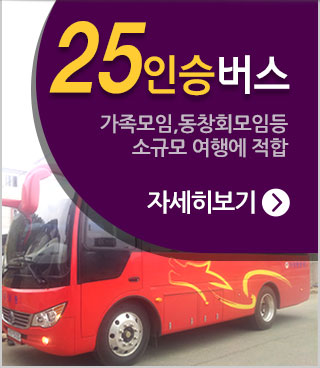 25인승버스